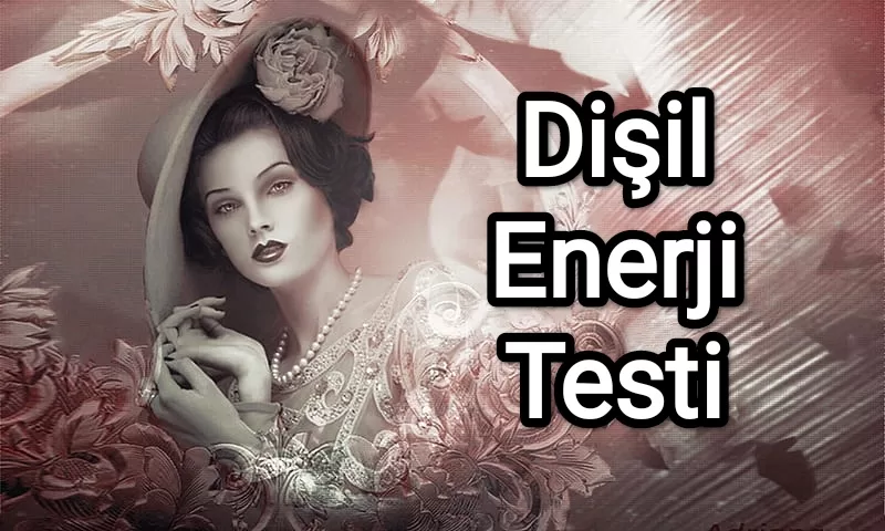 Dişil Enerji Testi