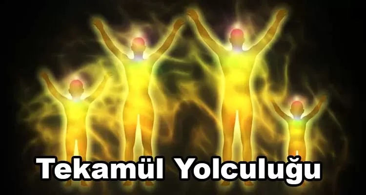 Tekamül Yolculuğu