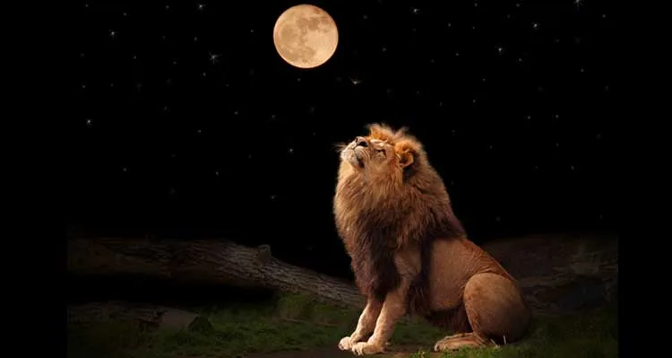 25 Ocak Aslan Dolunayı