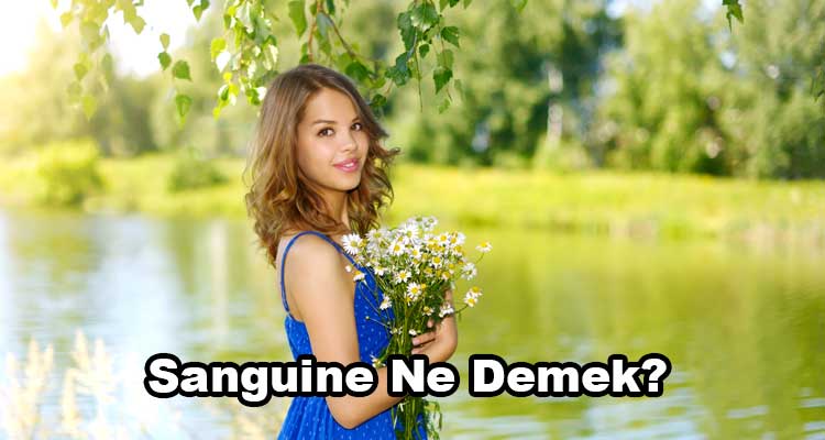 Sanguine Ne Demek?