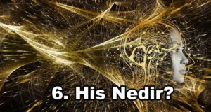 6. His Nedir?
