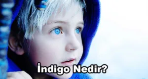 İndigo Nedir?