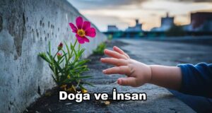 Doğa ve İnsan