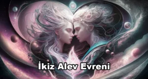 İkiz Alev Evreni